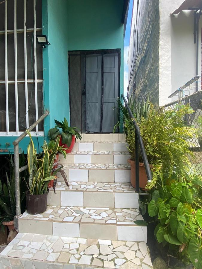 Blue Morpho House B&B Manuel Antonio Exterior foto